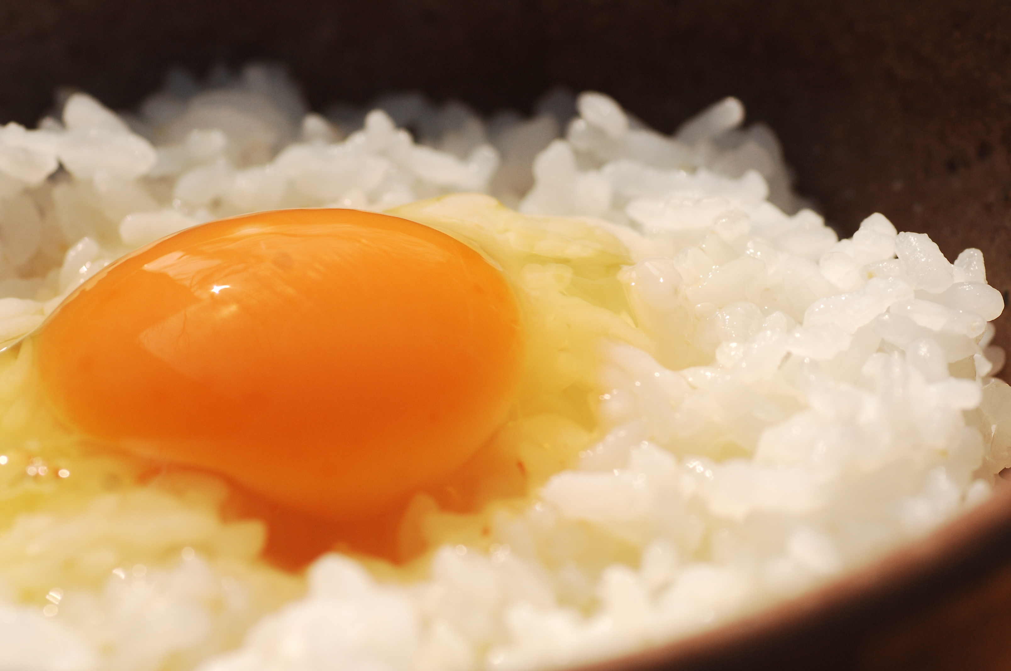 Egg-on rice shop "Shokudo Kamecchi."